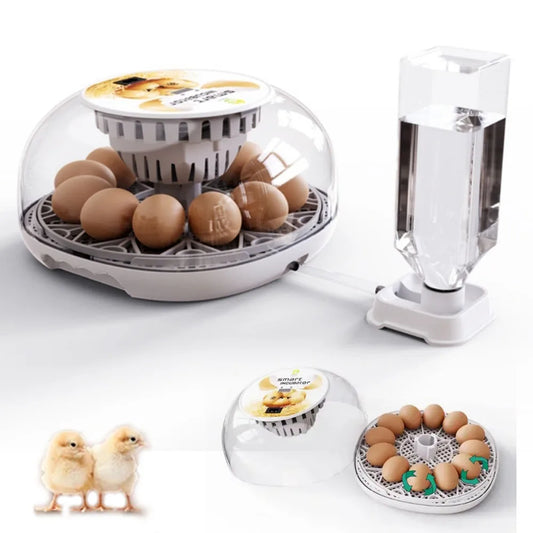 12 Egg incubator with Auto-turning